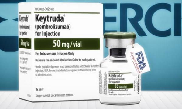 Without Keytruda (Lung Cancer medicine), 30 deaths a week in NZ
